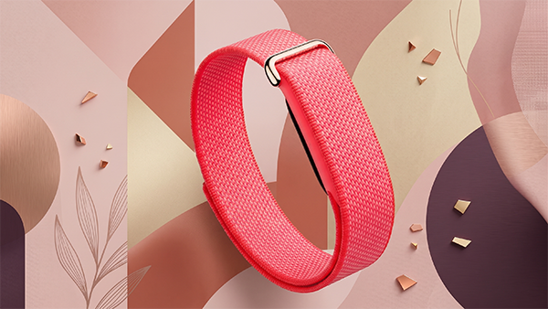 Google Fitbit Air Google Fitbit Air