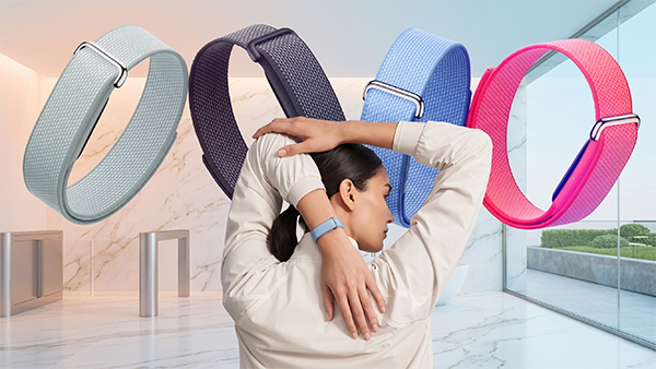 Google Fitbit Air Google Fitbit Air